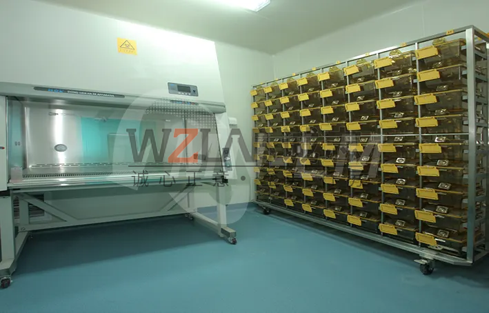 動物實驗室建設(shè)