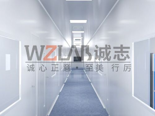 潔凈實(shí)驗(yàn)室有哪些？